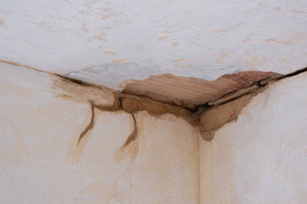 Best Water damage restoration insurance claims  in Paducah, KY