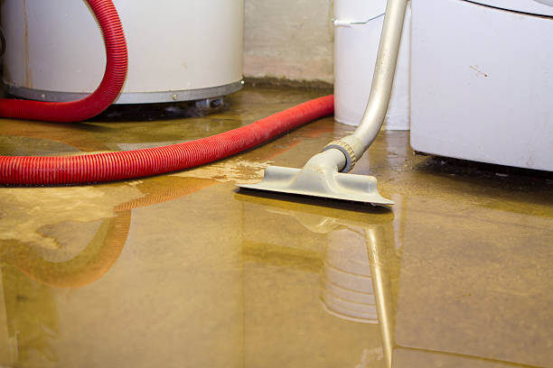 Best 24-hour water damage restoration  in Paducah, KY