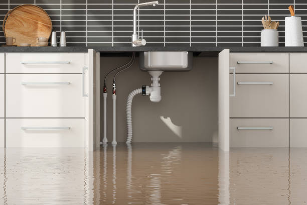 Best Local water damage restoration  in Paducah, KY